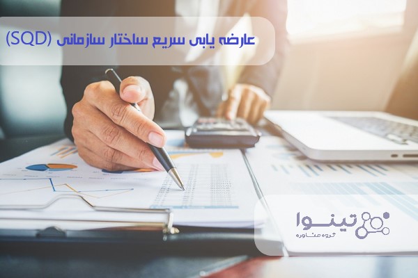 عارضه یابی سریع ساختار سازمانی به سبک تینوا